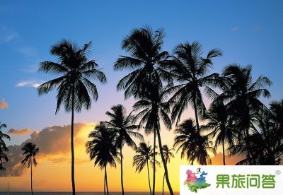 【昆明直飛三亞】瀟灑蜈支洲——天涯海角、蜈支洲島、南山文化苑