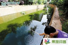 <b>昆明市上演小龍蝦大戰(zhàn)！小龍蝦涌進(jìn)入滇河道危害極大市民展開捕殺</b>