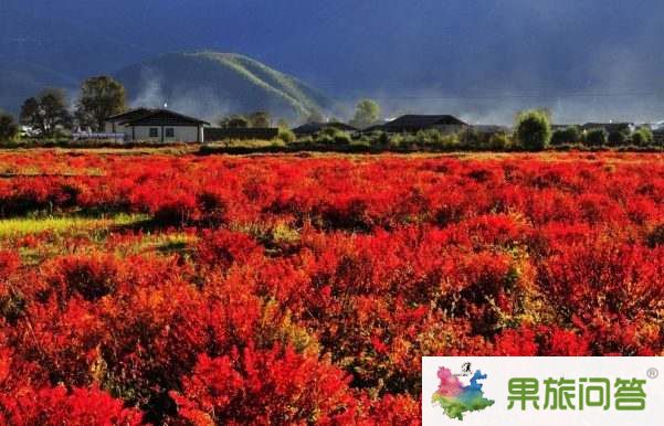 超值休閑游—麗江、香格里拉、大理六日游 HX