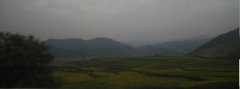云南羅平油菜花已經(jīng)開(kāi)了，你還等什么