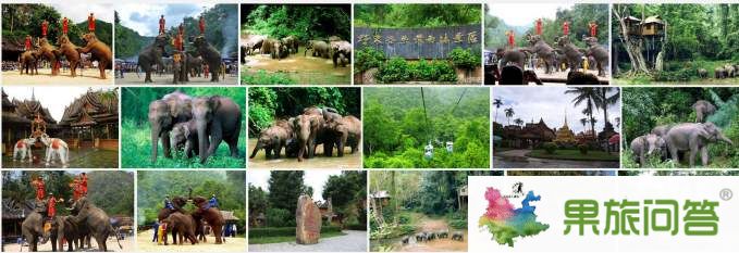 西雙版納（野象谷、熱帶植物園）組圖